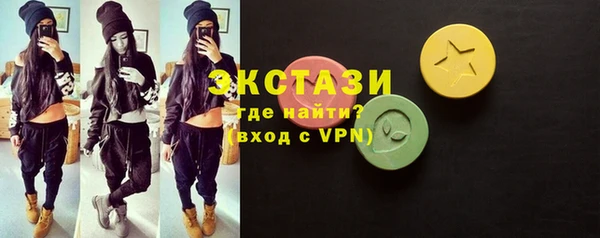 гидра Няндома