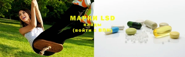 дмт Богданович