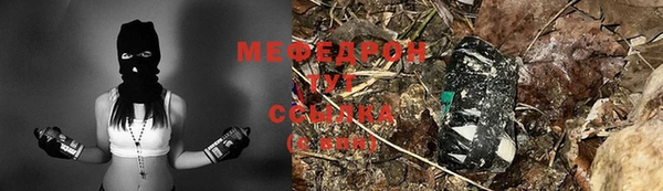 дмт Богданович