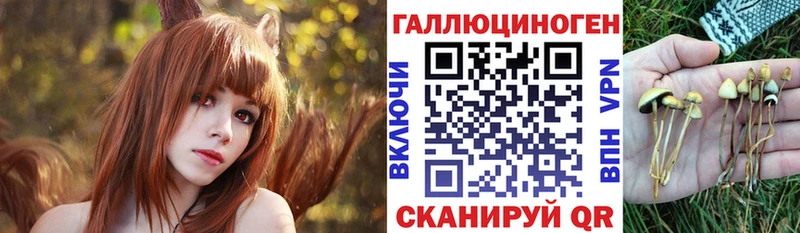 Псилоцибиновые грибы GOLDEN TEACHER  маркетплейс формула  Белореченск  купить  сайты 